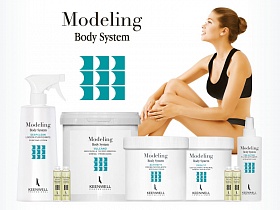 Modeling Body System        